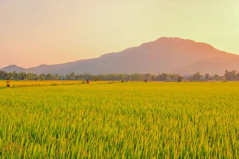 Kho gạo của Nguyễn Thị Thu